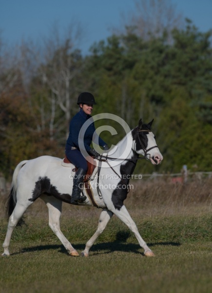 American Paint Under Saddle English