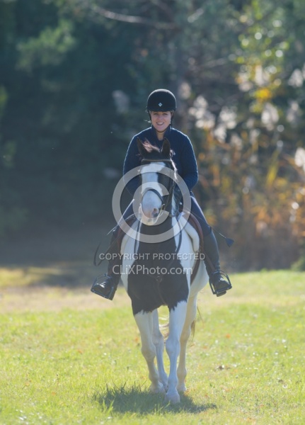 American Paint Under Saddle English