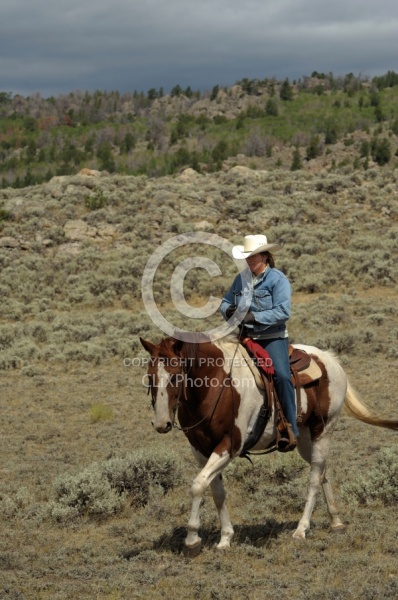 On The Trail In Wyoming with Blue Sky Sage