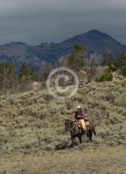  On The Trail In Wyoming with Blue Sky Sage