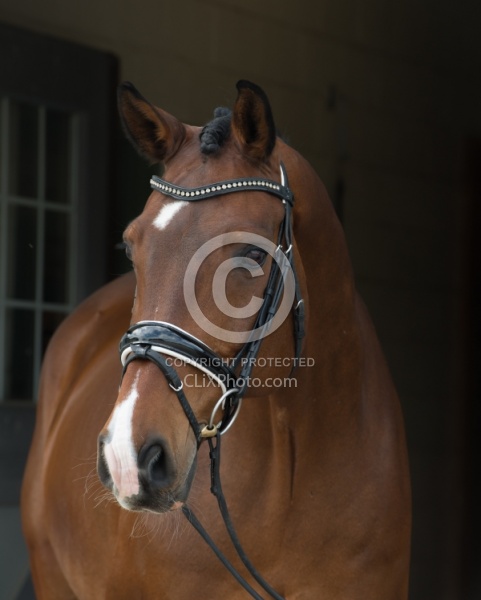 Hanoverian Portrait