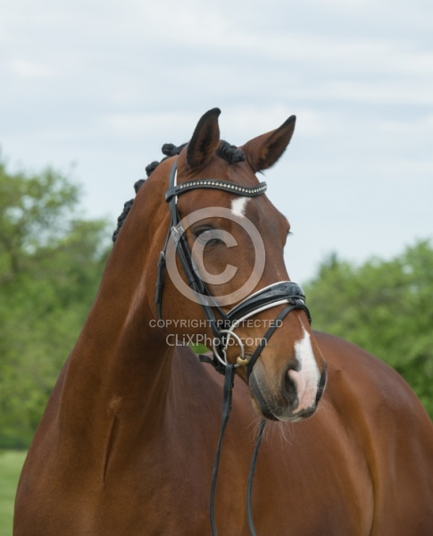 Hanoverian Portrait