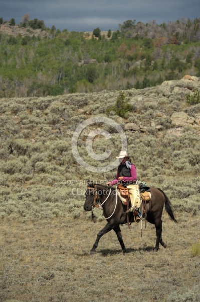 On The Trail In Wyoming with Blue Sky Sage