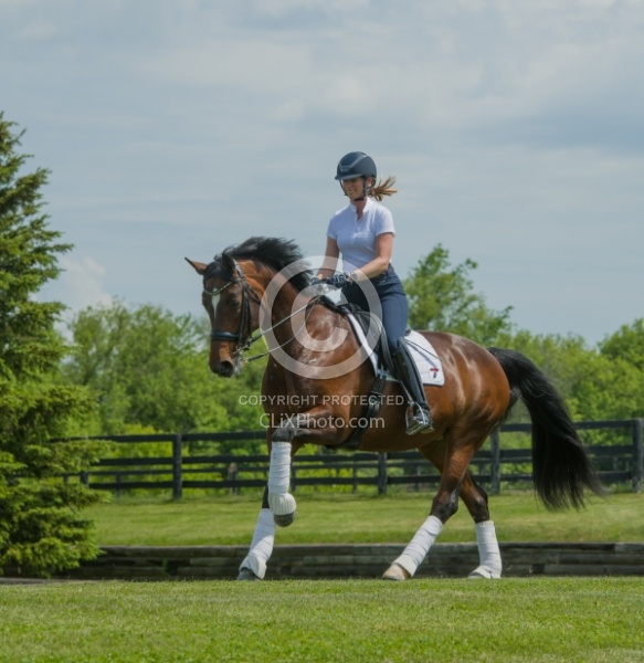  Oldenburg Ridden Dressage