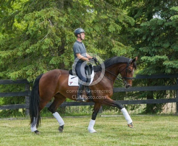 Oldenburg Ridden Dressage