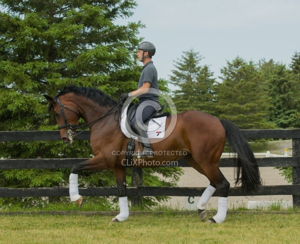 Oldenburg Ridden Dressage