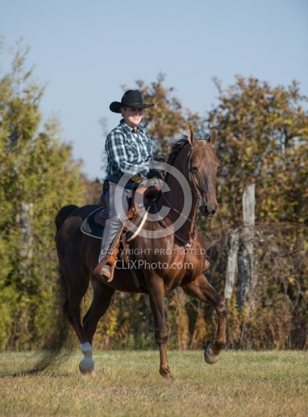 Saddlebred Ridden Western