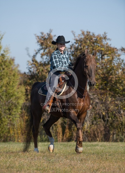 Saddlebred Ridden Western