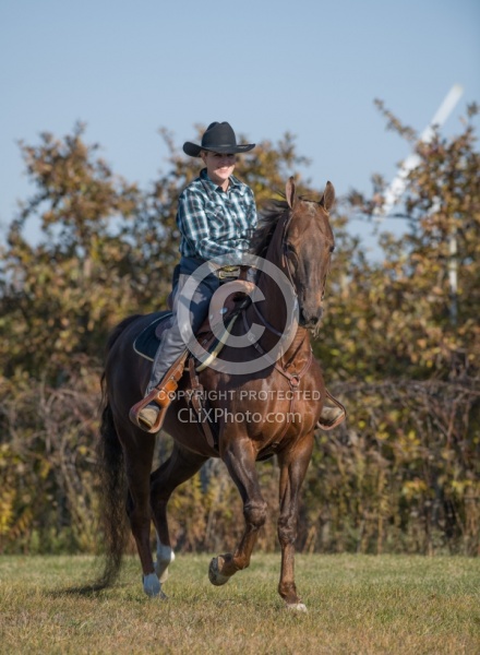 Saddlebred Ridden Western