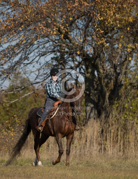 Saddlebred Ridden Western