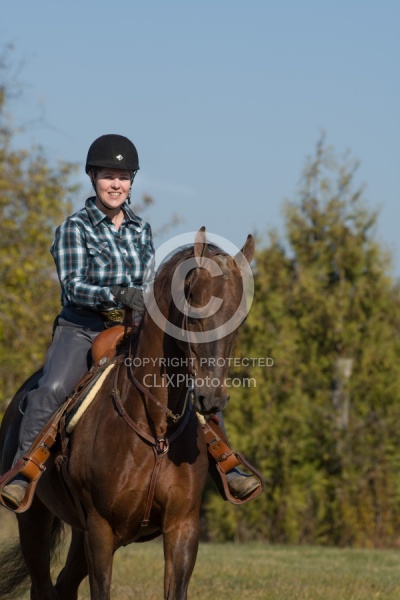 Saddlebred Ridden Western
