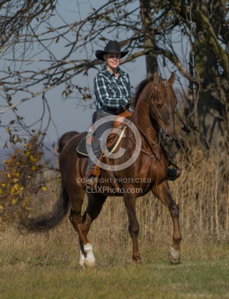 Saddlebred Ridden Western
