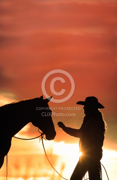 Silhouette Horse and Rider