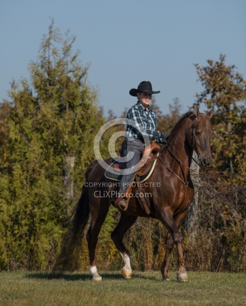 Saddlebred Ridden Western