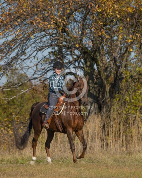 Saddlebred Ridden Western