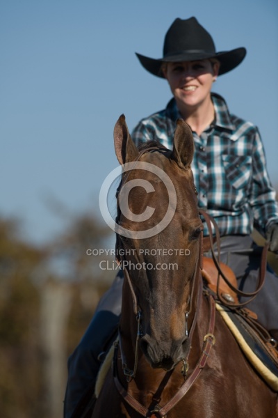 American Saddlebred Portrait