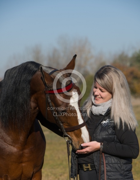 American Saddlebred with People
