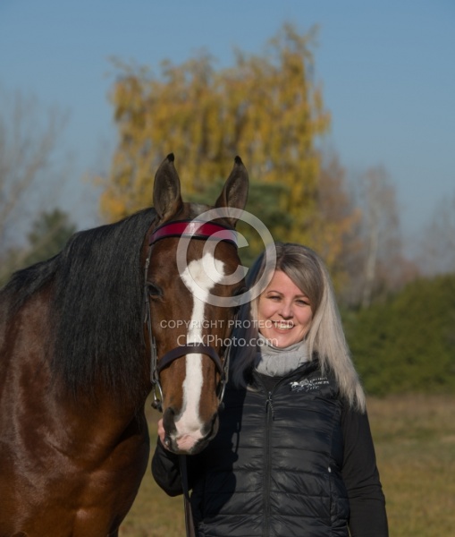 American Saddlebred with People