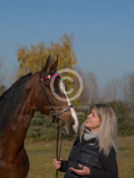 American Saddlebred with People