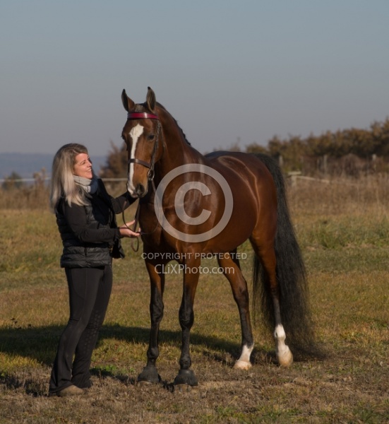 American Saddlebred with People