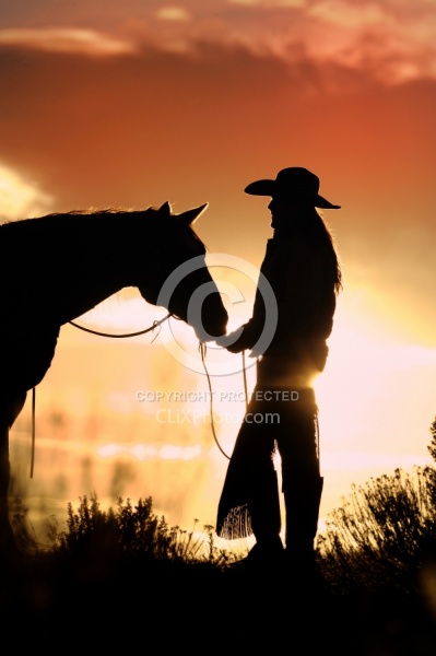 Silhouette Horse and Rider