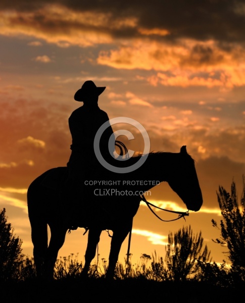 Cowboy Silhouette