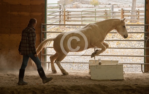 Marijn, Co owner of The Hideout Guest Ranch