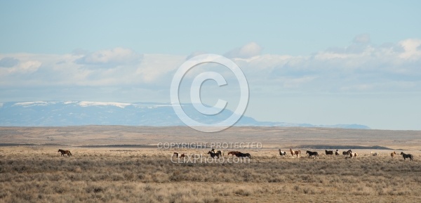 Riding to the Wild Horses with The Hideout Guest Ranch