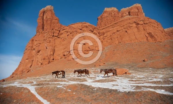 The Hideout Guest Ranch Scenery