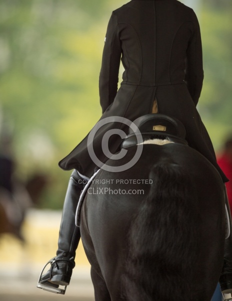 Dressage Apparel