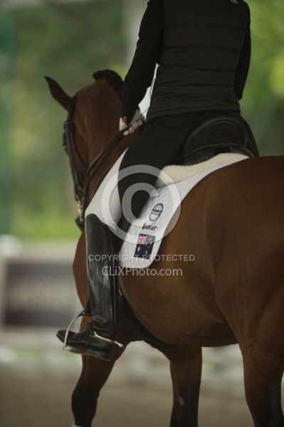 Dressage Apparel