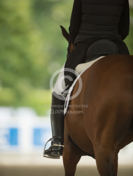 Dressage Apparrel and Turn Out Dressage Apparel