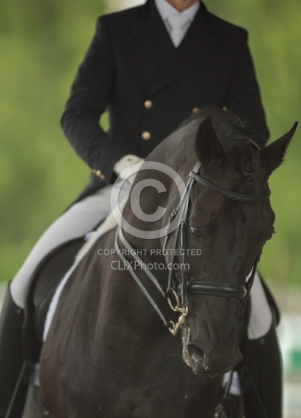 Dressage Apparel