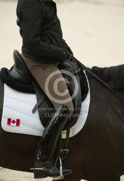 Dressage Apparel