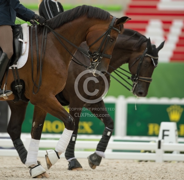 Dressage Warm Up Ring