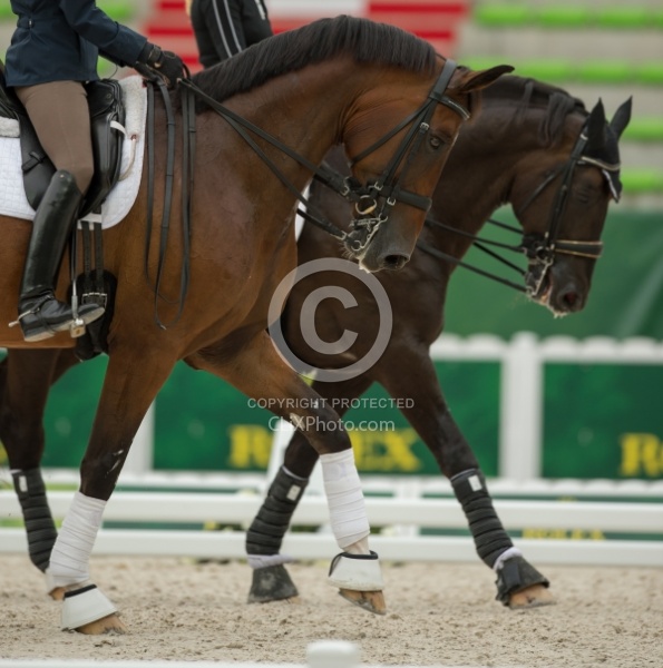 Dressage Warm Up Ring