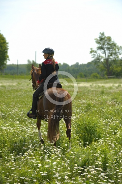 Western Trail Riding Spring Summer