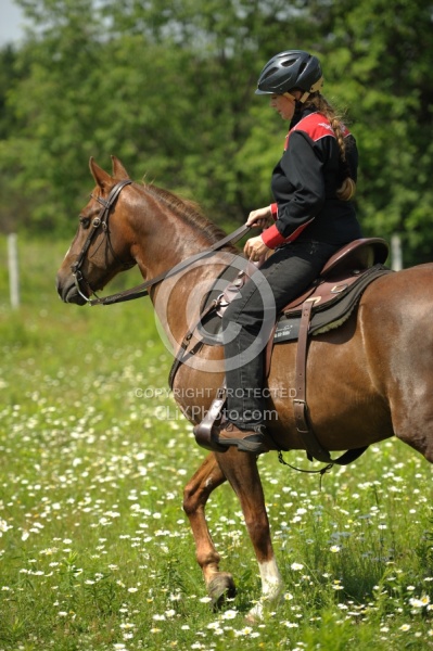 Western Trail Riding Spring Summer