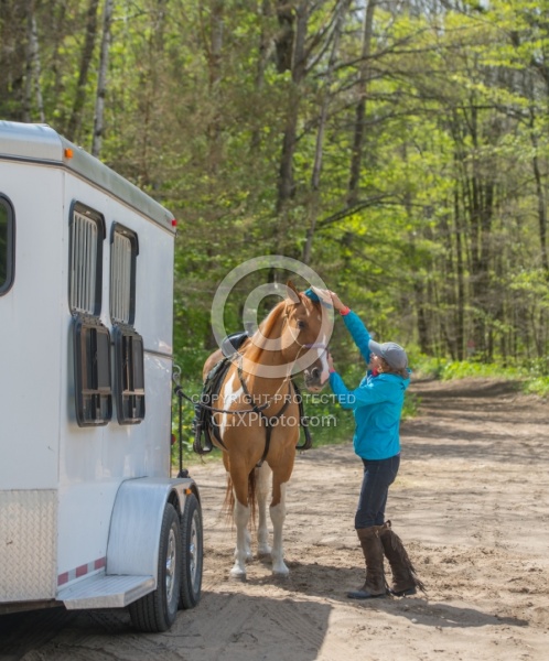 Horse at Trailer