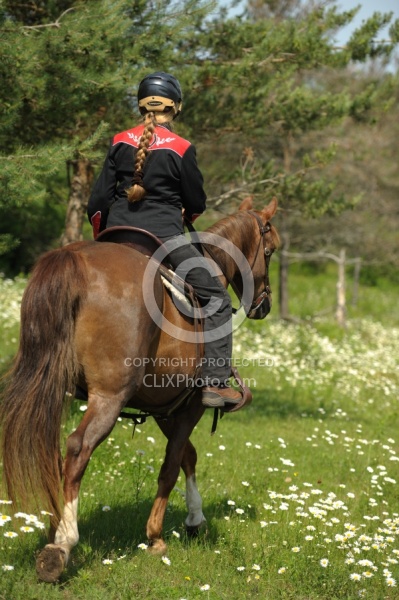 Western Trail Riding Spring Summer
