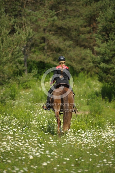 Western Trail Riding Spring Summer