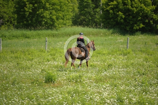 Western Trail Riding Spring Summer