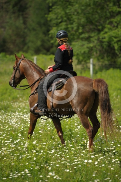 Western Trail Riding Spring Summer