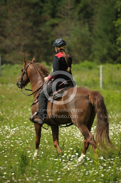 Western Trail Riding Spring Summer