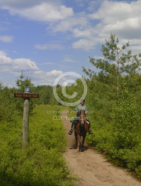 Trail Riding Otter Creek