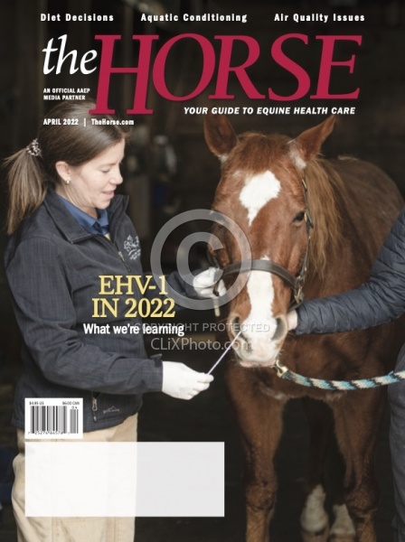 The Horse Cover April 2022