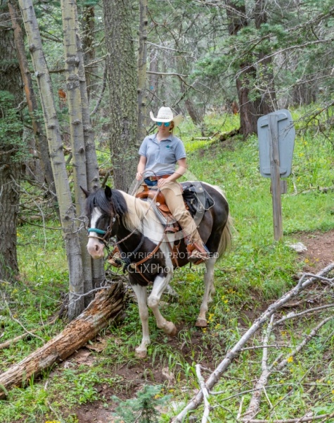 Sandia Wilderness with Enchantment Equitreks