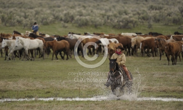 Cowgirls at Sombrero Ranch