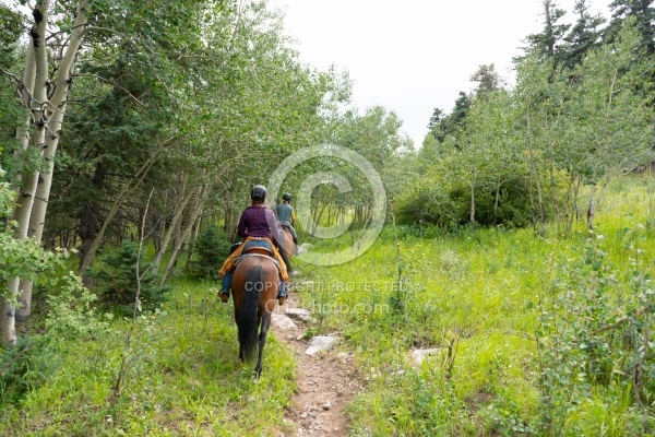 Sandia Wilderness with Enchantment Equitreks