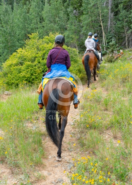 Sandia Wilderness with Enchantment Equitreks